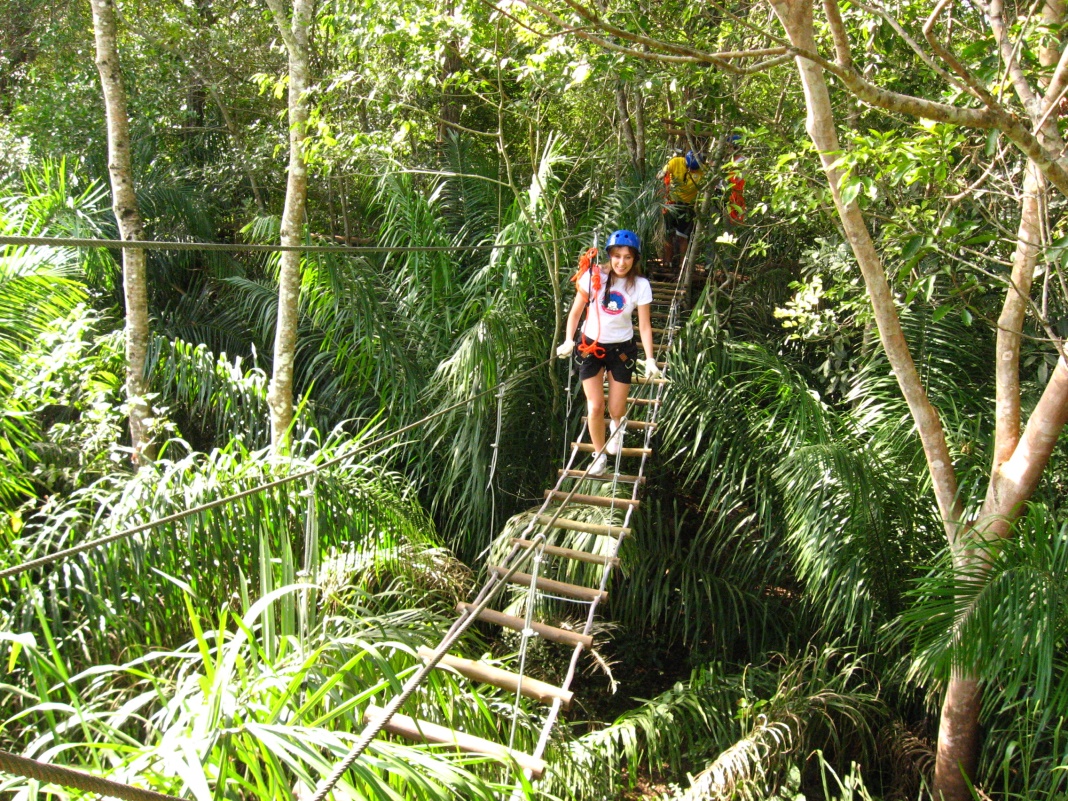 Passarela em parque