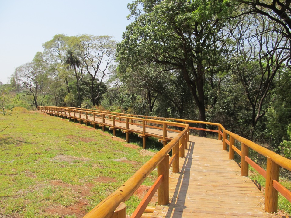 Trilha acessível em área ambiental