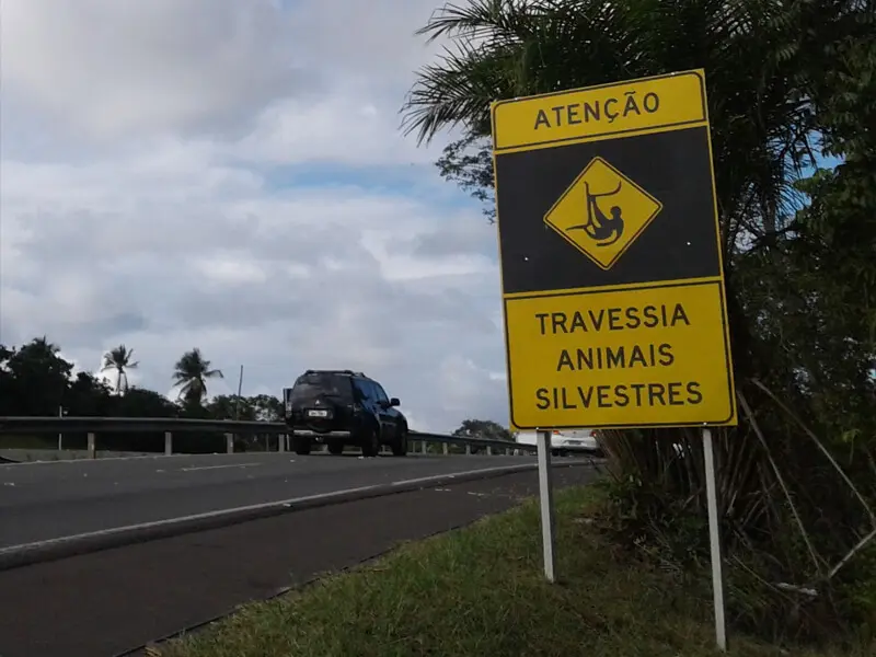 Sinalização inteligente para travessia de fauna